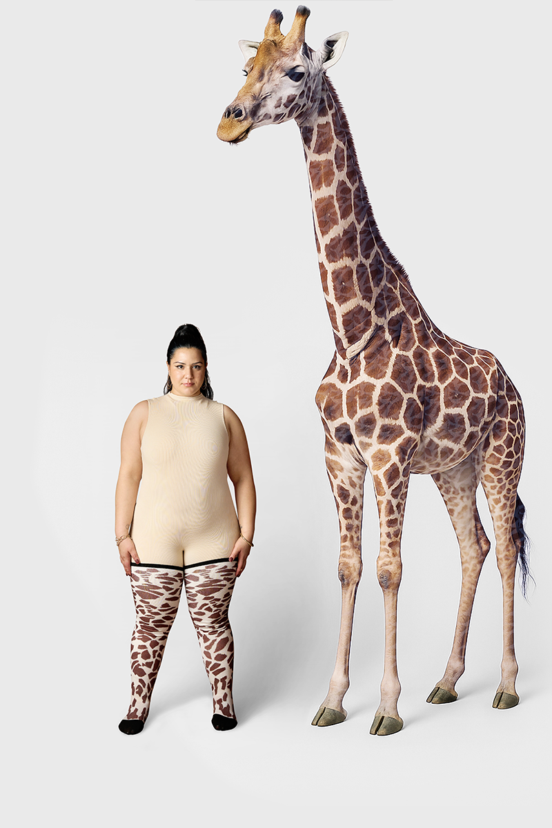 Artisan - Safari Strut - Giraffe